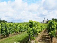 Wine weekend for two - Gironde (France) 