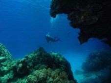 Scuba Diving PADI Course