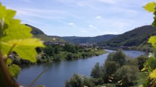 Weinprobe an der Mosel mit Übernachtung für 2 Personen