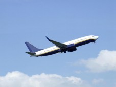 B737 Flight Simulation Experience 60 minutes