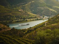 Visita Superior à Quinta Nova no Douro com Almoço