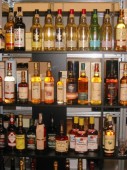 Whisky Verkostung in der Pfalz
