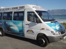 Shark Cage Diving in South Africa