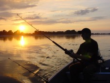 Pesca Embarcada no Algarve (6h)