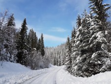 Corso Invernale 4x4, Torino 