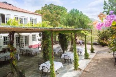 Visite Premium de la Quinta Nova dans le Douro avec Déjeuner