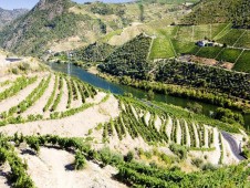 Croisière du fleuve Douro à Régua