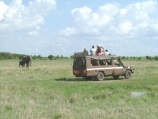 3 Days Safari in Kenya