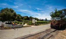 Napa Valley Wine Train and Ggich winery tour with gourmet lunch