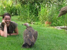 Workshop falconry (7 hours)