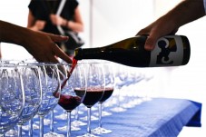 Cata de Vinos Premium con Visita a Bodega en Madrid - 2 personas