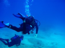Diving for 1 day