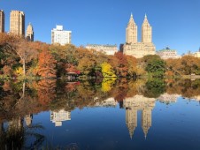 Sunrise Yoga Walk in Central Park