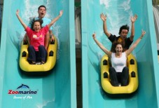 Ticket for Zoomarine Theme Park (Child or Senior) - Algarve, Portugal