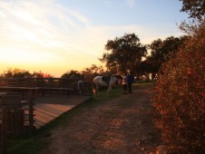 Passeio a Cavalo na Serra de Grândola