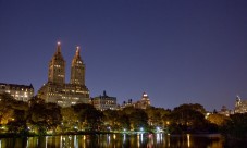 Central Park by night photo safari