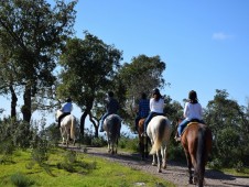 Passeio a Cavalo na Serra de Grândola