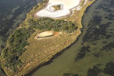 Vol en hélicoptère Camargue