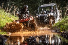 Buggy Safari in Algarve for Two