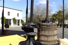 Degustación de vinos y visita a bodega en Córdoba - 2 personas