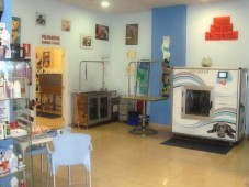 Hidroterapia en Spa para perros pequeños - Madrid