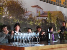 Visita a Bodega y Degustación - 2 personas