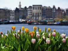 Sightseeing tour Amsterdam - Adult ticket