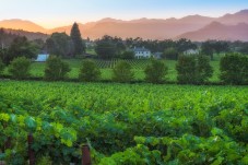 Napa and Sonoma World-class wine tour with lunch