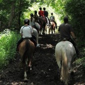 Ruta a Caballo en Lleida - 2 personas