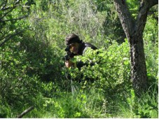 Laser Tag em Loures c/ TIROS ILIMITADOS para 10