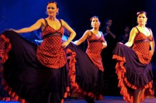 Flamenco and dinner for two