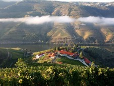 Visita Superior à Quinta Nova no Douro com Almoço