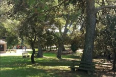 Parc animalier de la Barben - 1 Enfant (3-12 ans)
