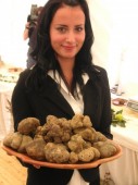 Guided Truffle Hunt in Istria