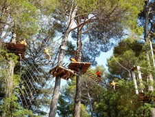 Aventura en los árboles - Madrid