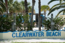 Clearwater Beach Day and Lunch - Adult