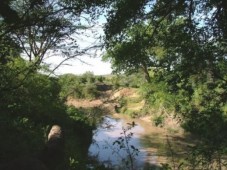 6 Day Safari in Kenya - Africa