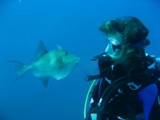 Bautismo buceo en Almería | Andalucía