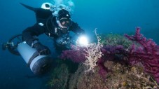 Snorkeling - Escursione in Mare