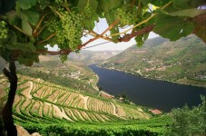 2 jours de croisière sur le Douro  avec une nuit dans un hôtel**** pour 2 personnes